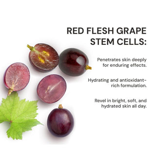 Day cream with red flesh grape stem cells